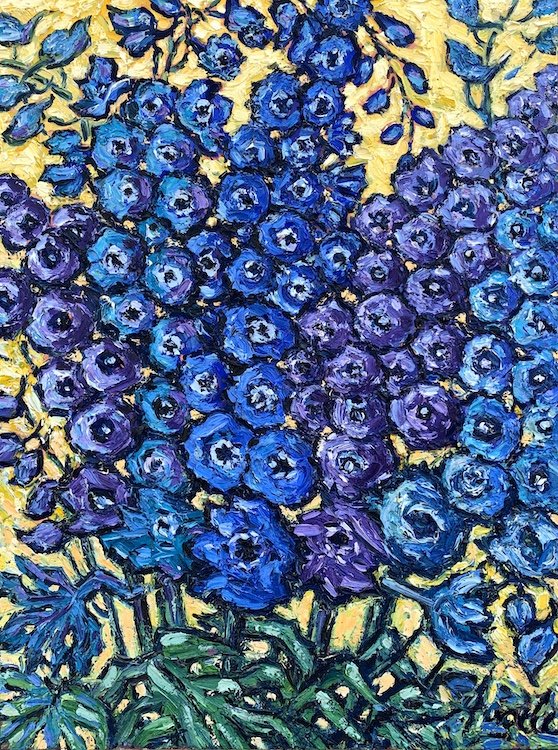 Delphiniums web.jpeg