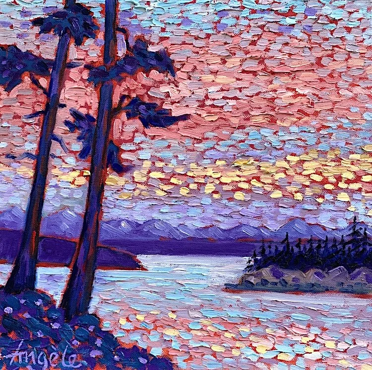 Looking West web.jpeg