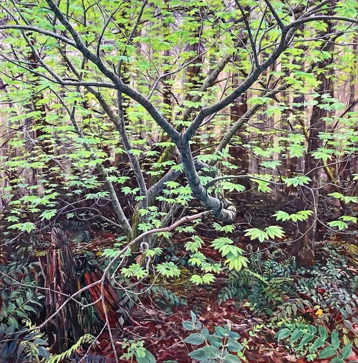 Vine maple Reaching Out web.jpeg