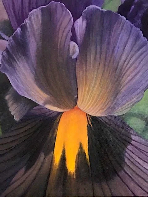 Birds Flying High web.jpeg