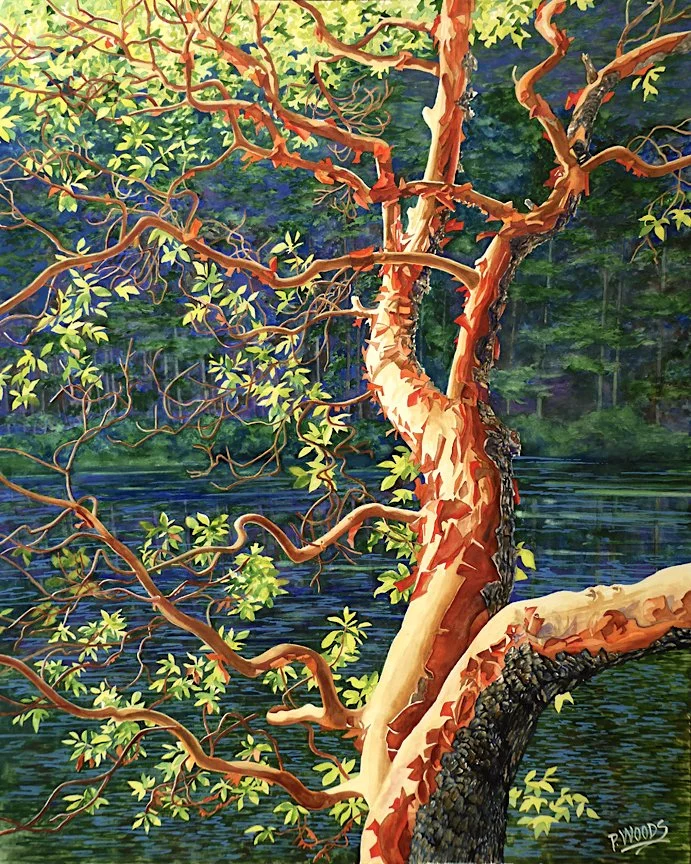 Madrone Glow web.jpeg