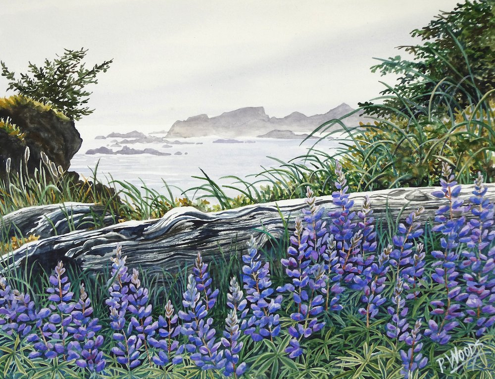 Wild Coast Garden web.jpeg