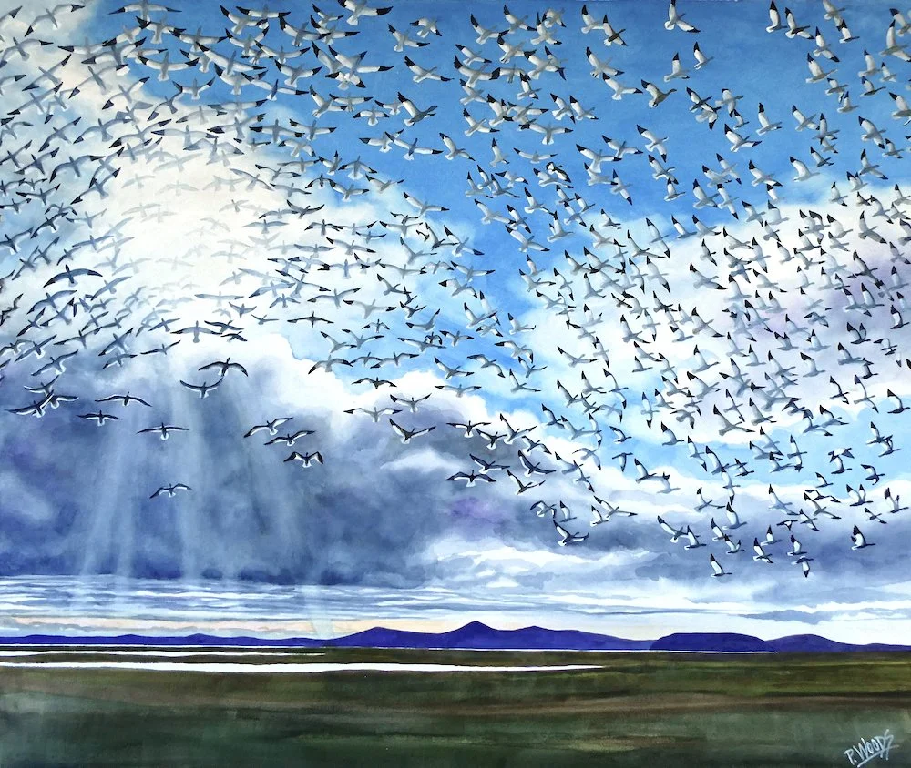 Fill the Sky with Joy  web.jpeg