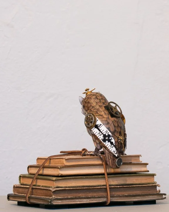 The Book Worm_04 - web.jpg