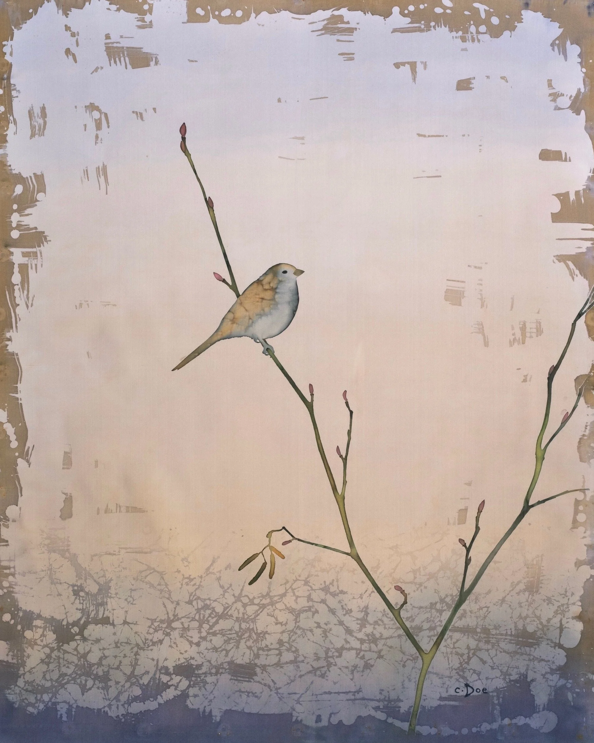 Sparrow in Sepia II web.jpeg