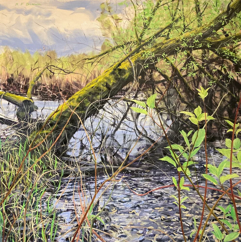 north_creek_backwater web.jpeg