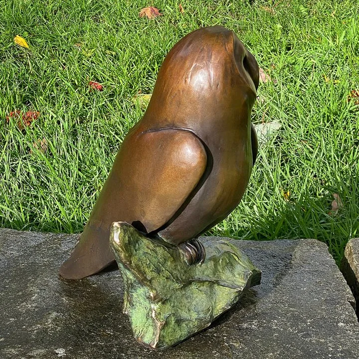 Barn-Owl-2025-05 - web.jpg