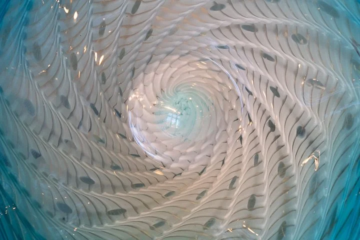 Fluted Bowl 2_03 - web.jpg