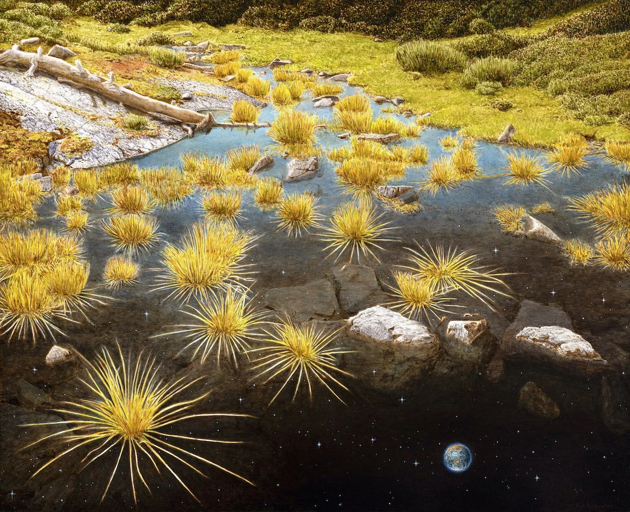 Starry Night - Framed Print