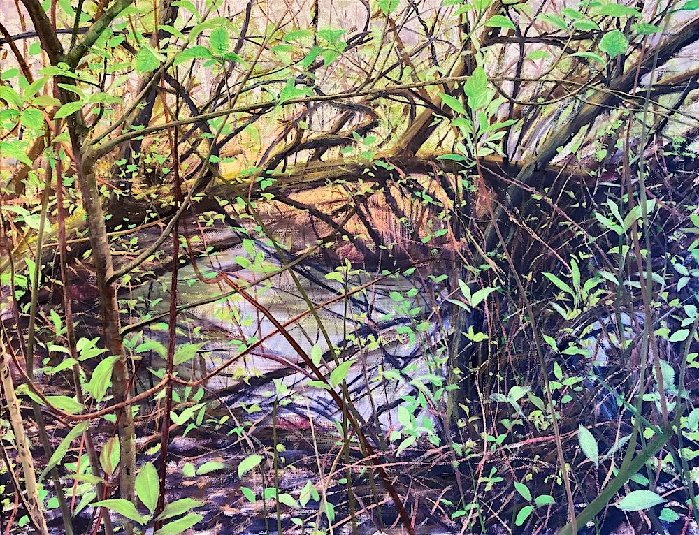 north_creek_april web.jpeg