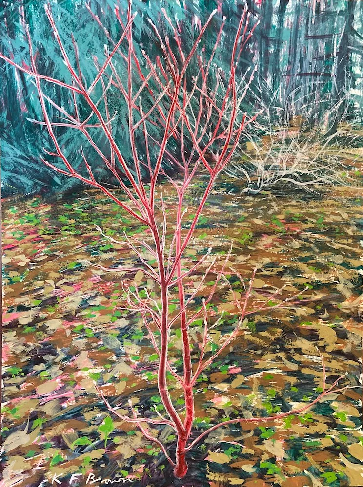 red_sapling web.jpeg