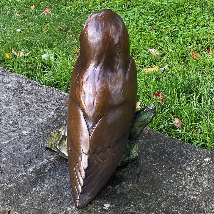 Barn-Owl-2025-06 - web.jpg