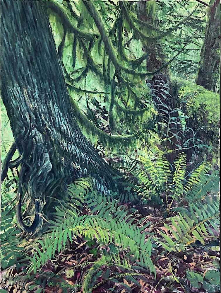 Sunlight in the Woods web.jpeg