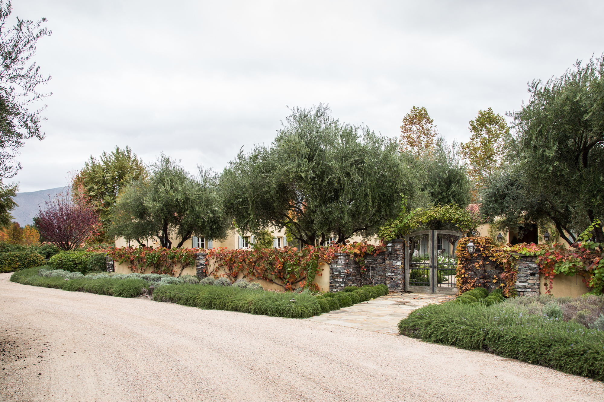 2013-11-20 Palma Valley - WebRes - 4R7A9647.jpg