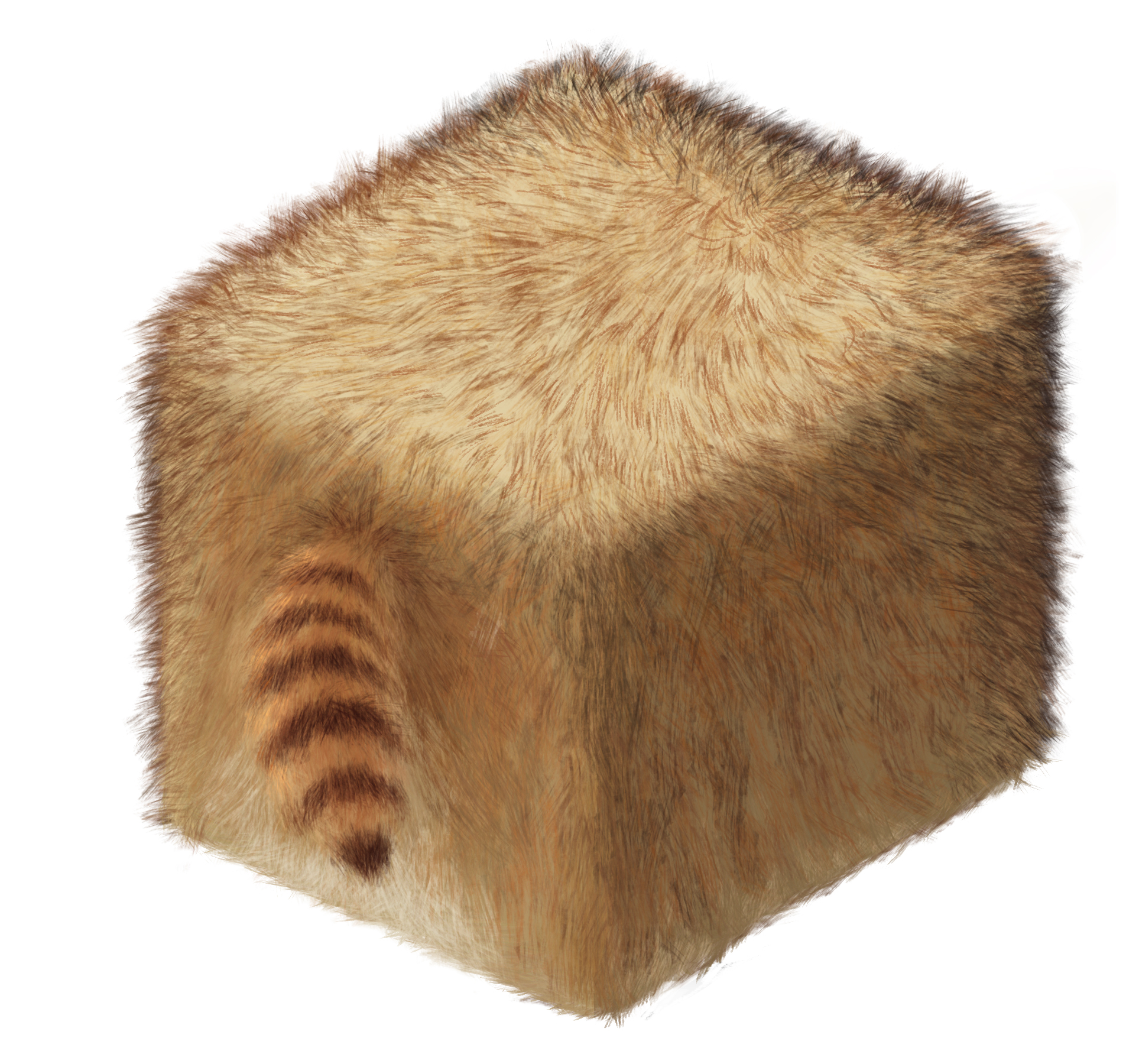 Cube3_RacoonFur copy.jpg