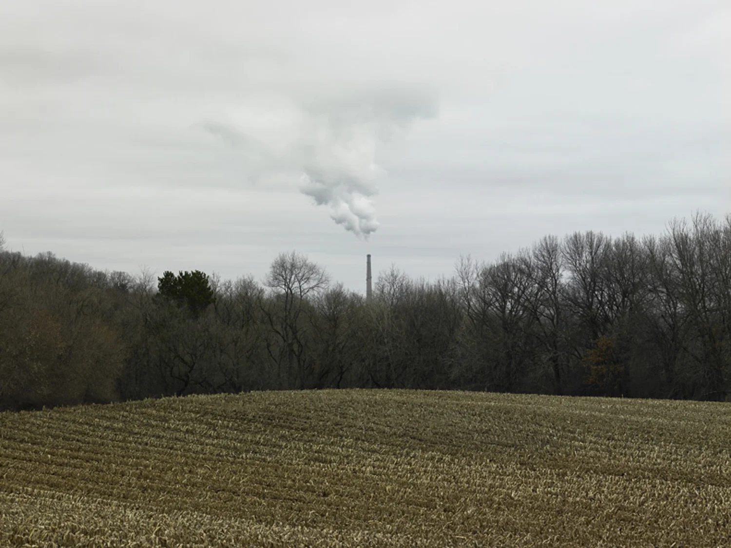 Vapor_0408-LF-8b-72-792LE_LR 72-90 1500w.jpg