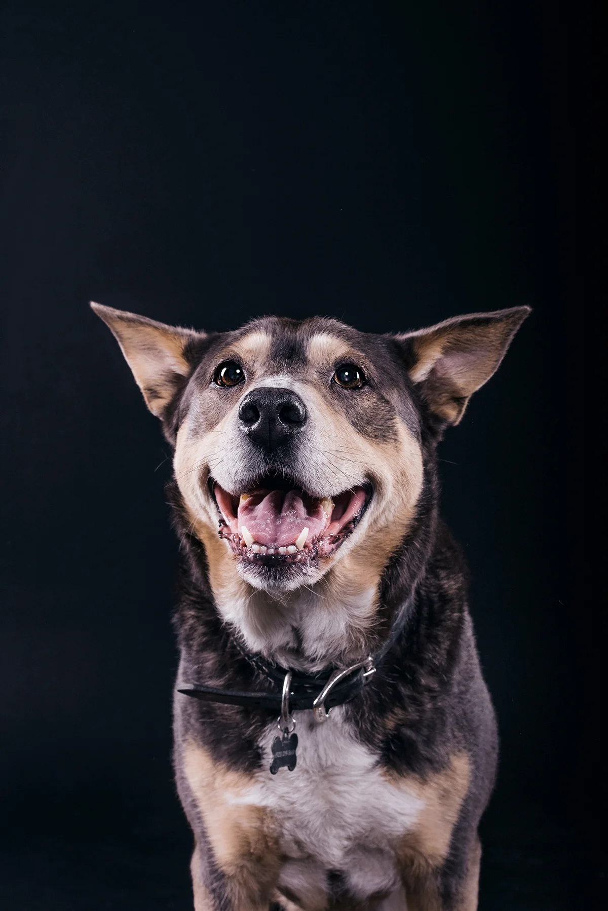 Roya's 11th Birthday Photoshoot
