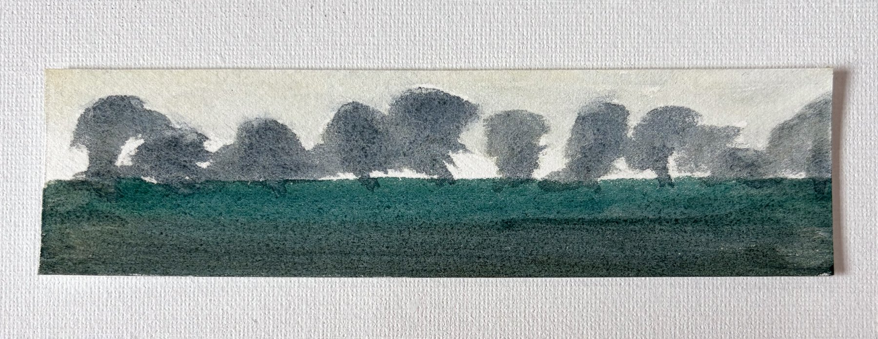 Where I live it looks like this. 2025