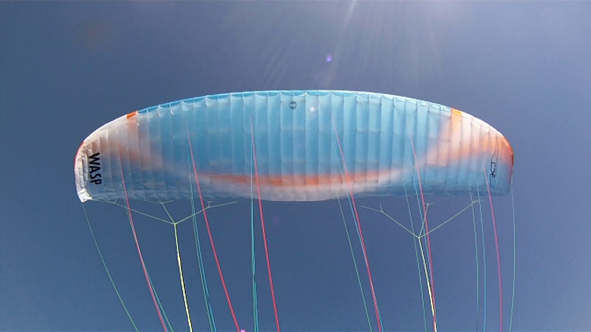 paragliding-canopy.jpg