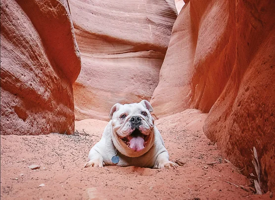 Photo by Melissa Halliburton