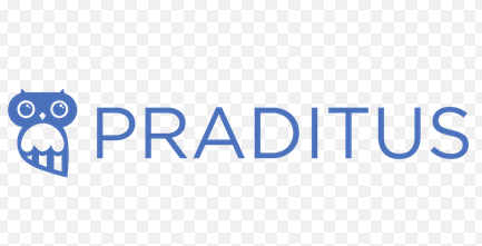 Accompagnement du dirigeant et lancement presse.