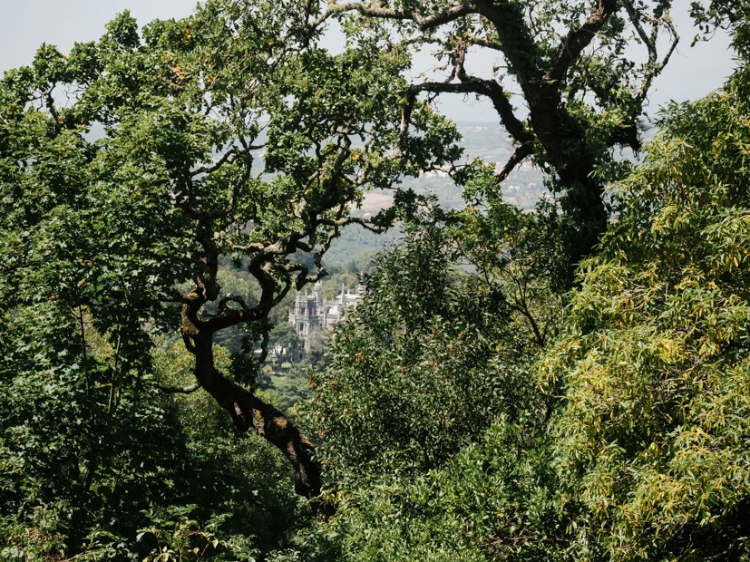 8c82a-roadtriplucas0158.jpg