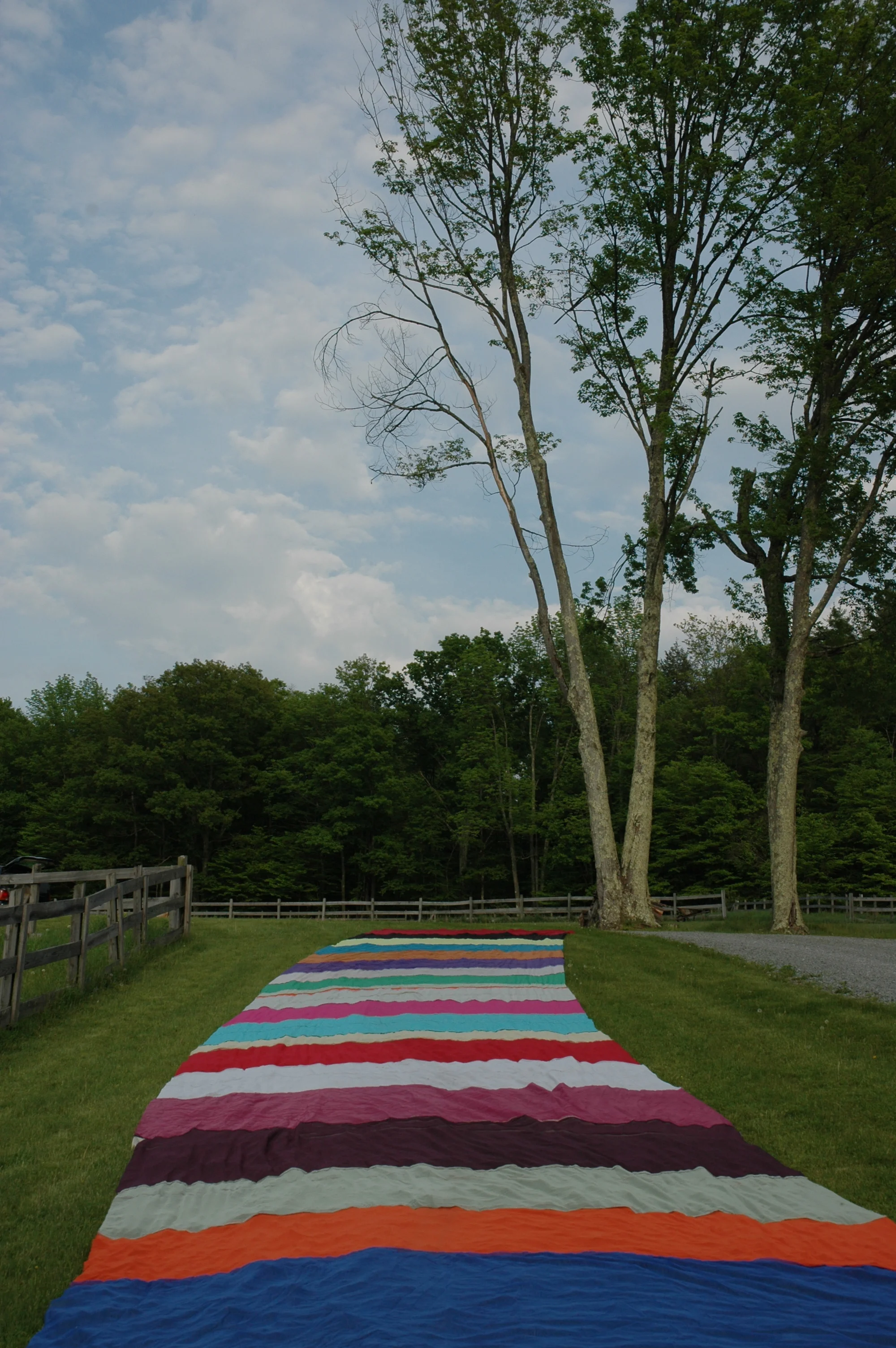 DSC_0550.JPG