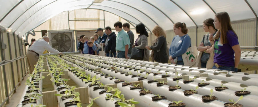 Rory Gresham leads a tour of the Richland Parish School Board hydroponic growing system. (Photo credit: Jason Van Haverbeke)