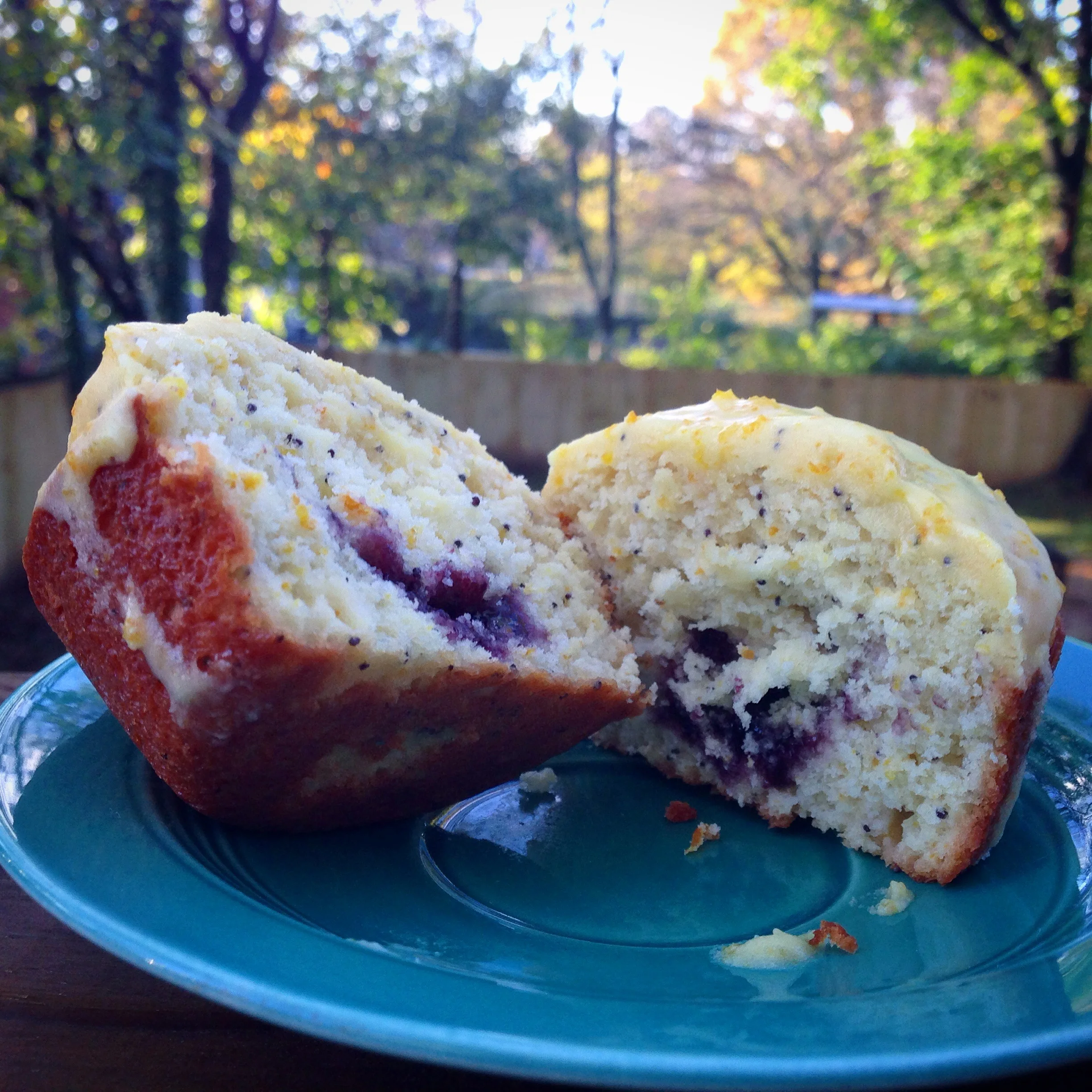 orange poppyseed muffins