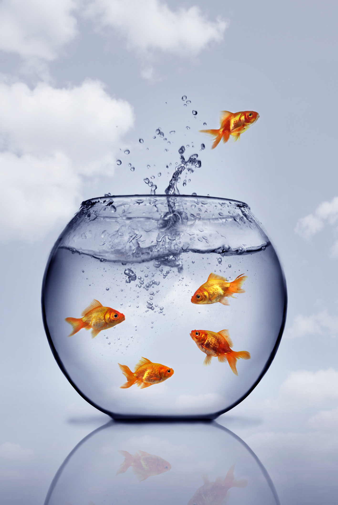 Time for some contrarian investing with a Pool Account at Specialty Metals? Credit: mikdam/iStock/Thinkstock.