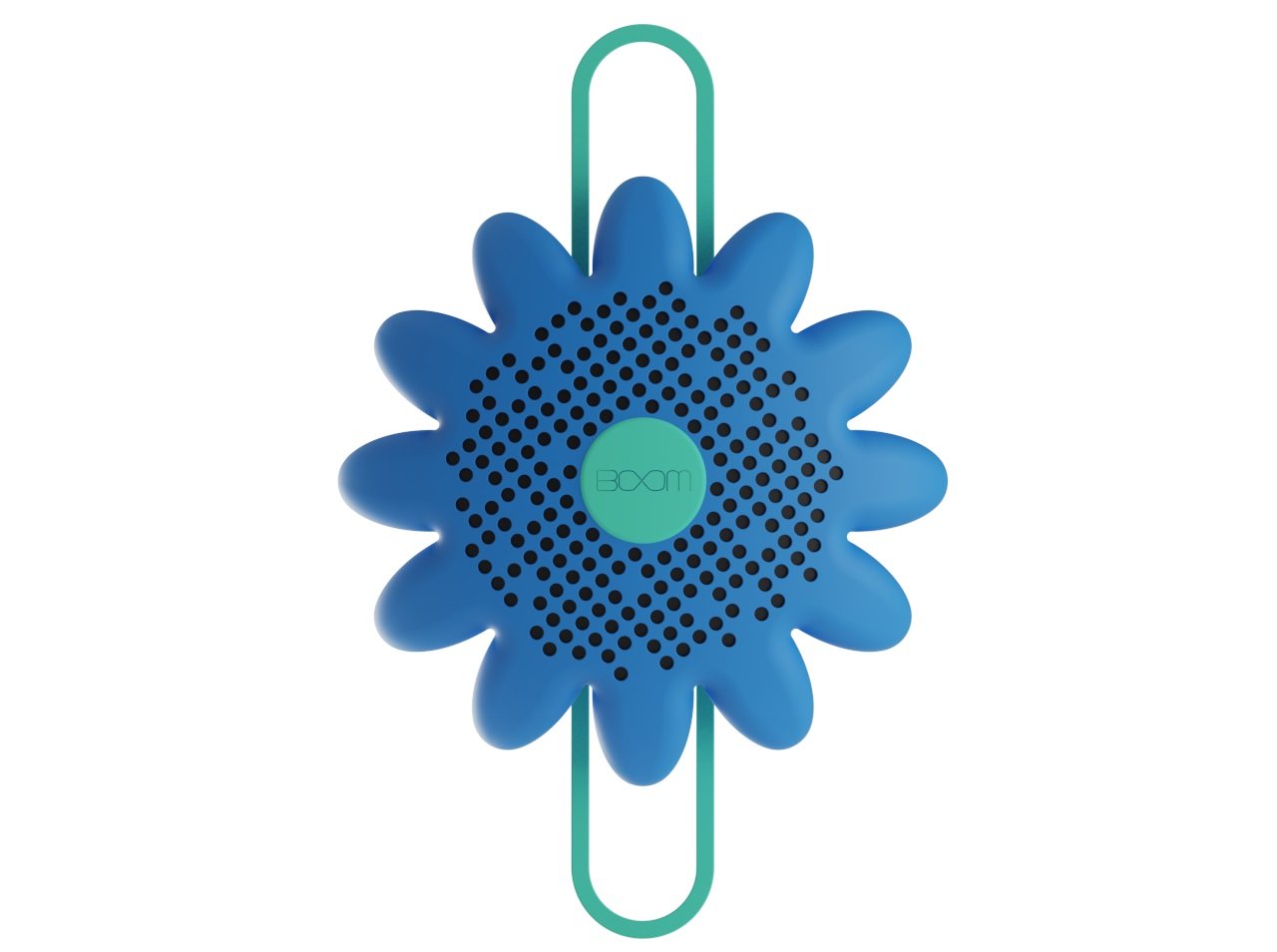 Polk daisy.26.jpg