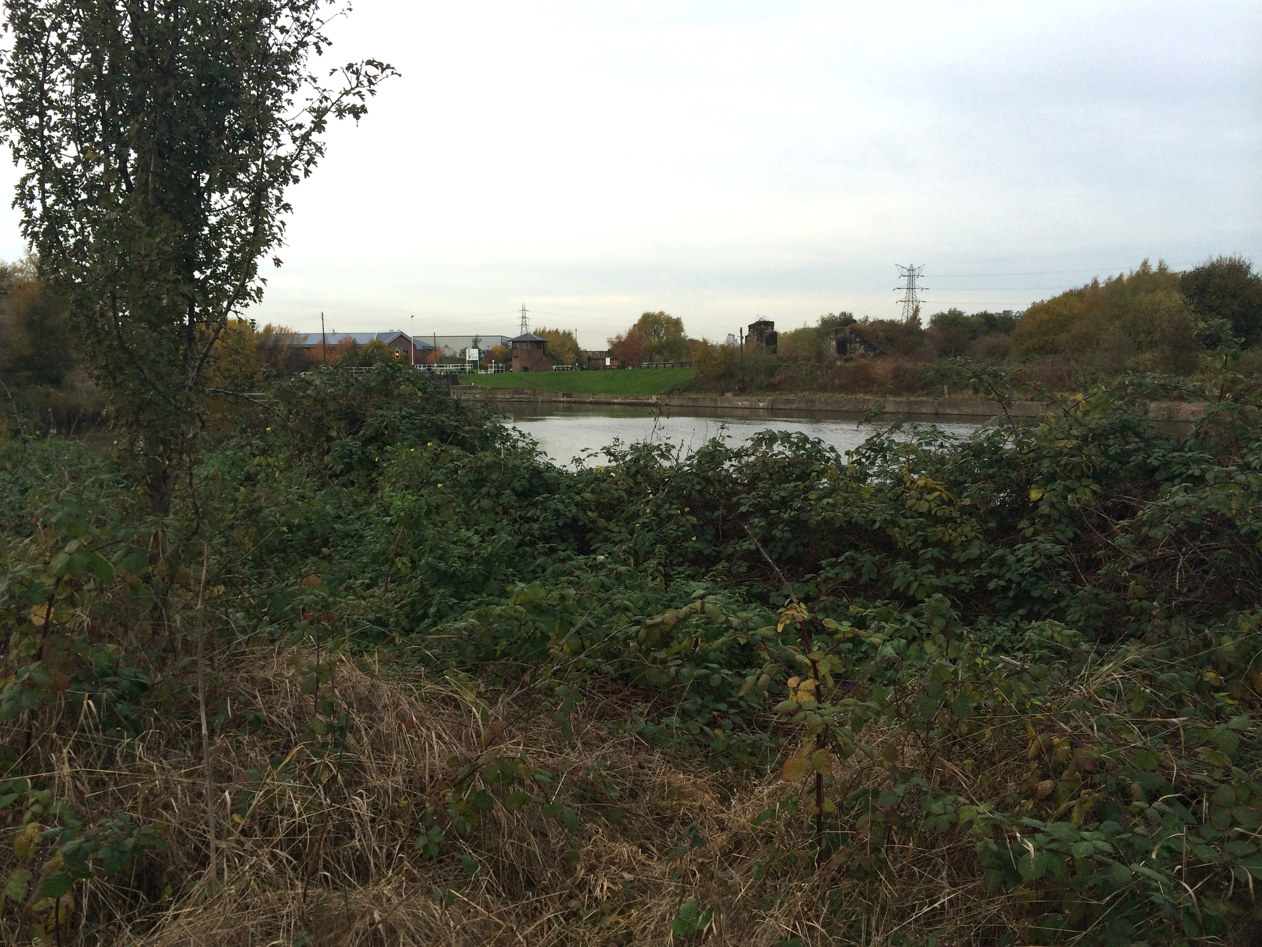  The site for the Boat House before works start, looking towards the Aire and Calder Navigation Canal 