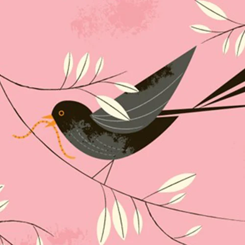 birdy cover.jpg
