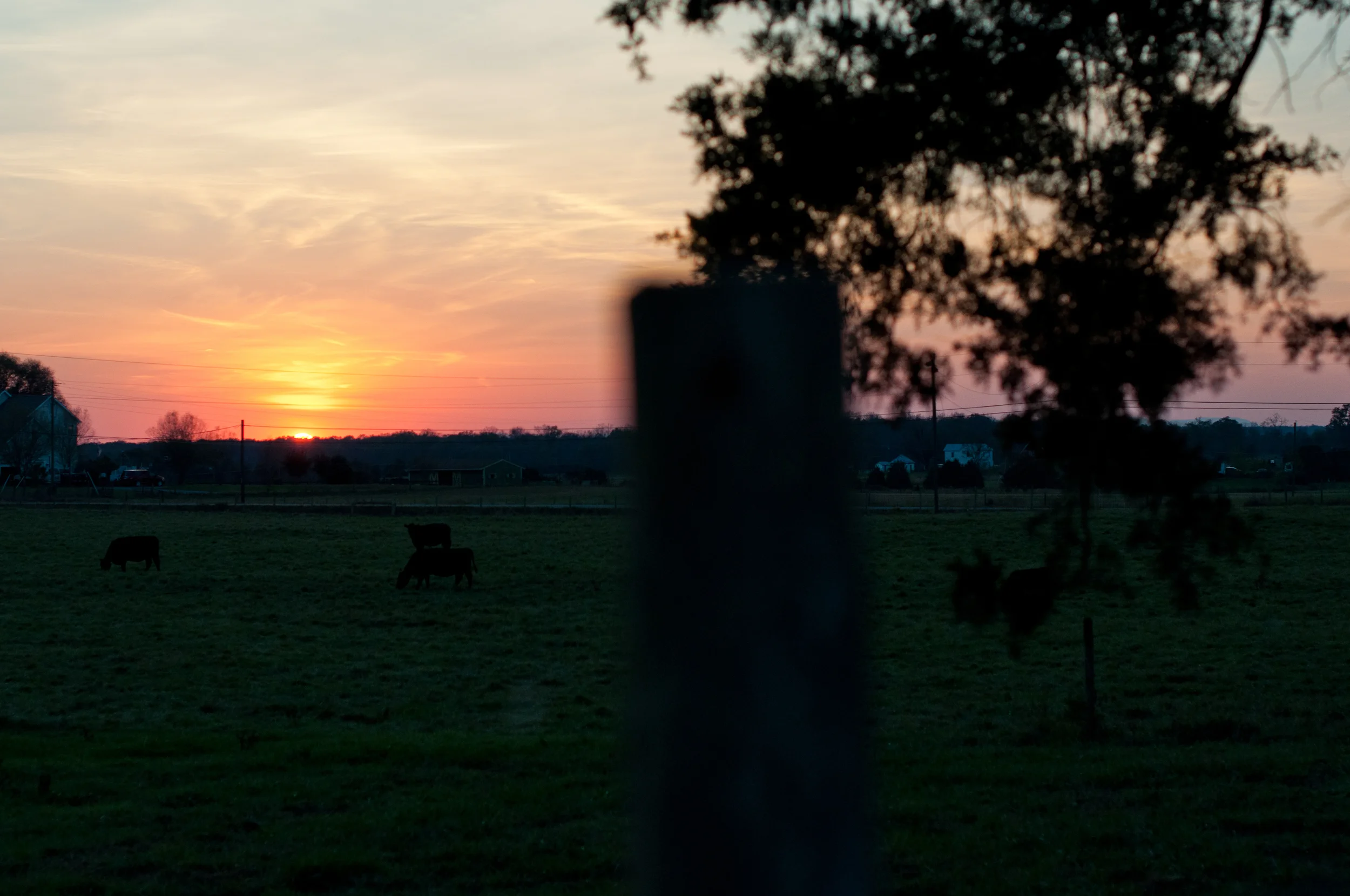 Beautiful sunset, to end a beautiful day! 