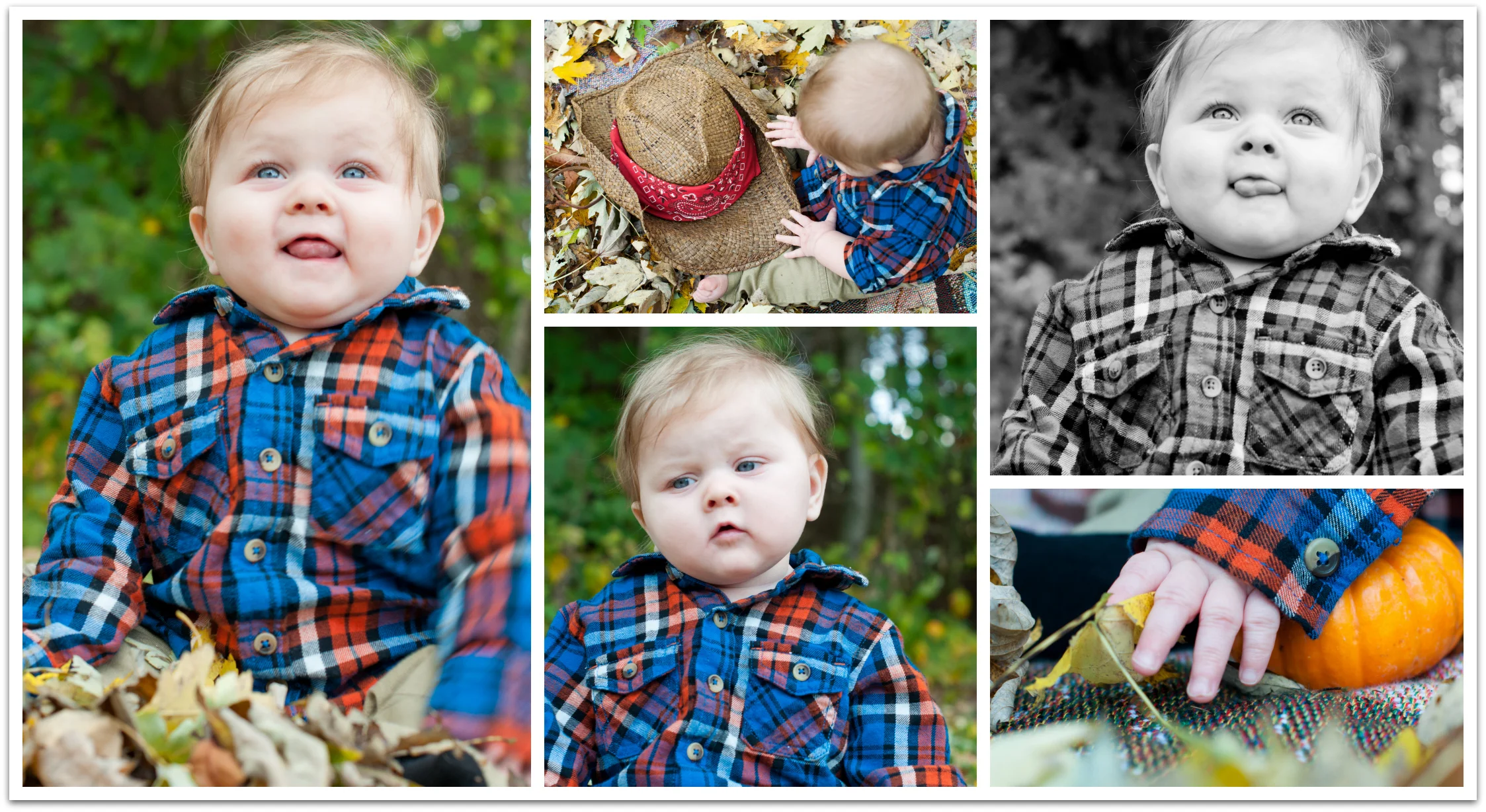 Collage1.jpg