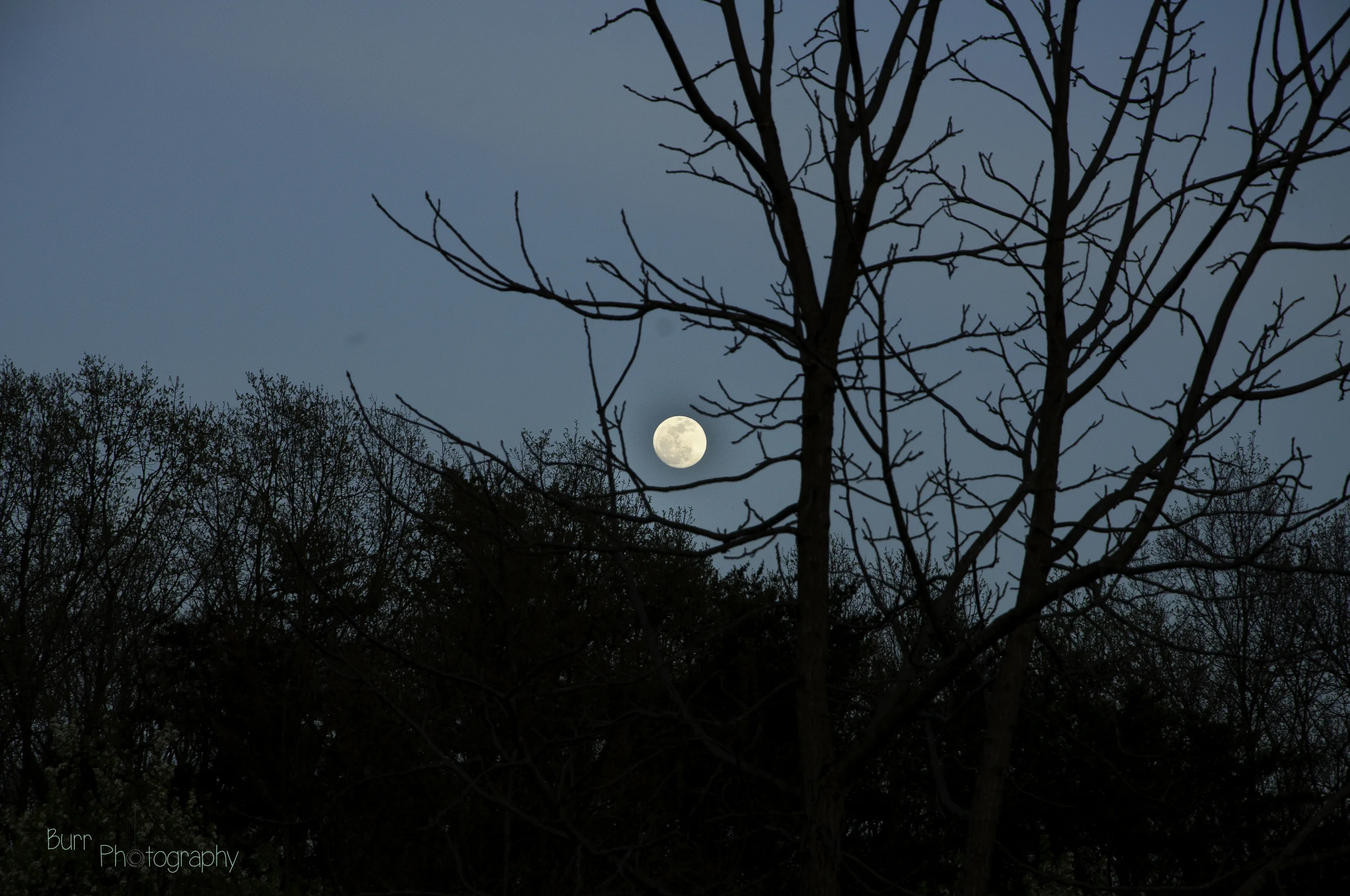 untitled (1 of 2)-5.jpg