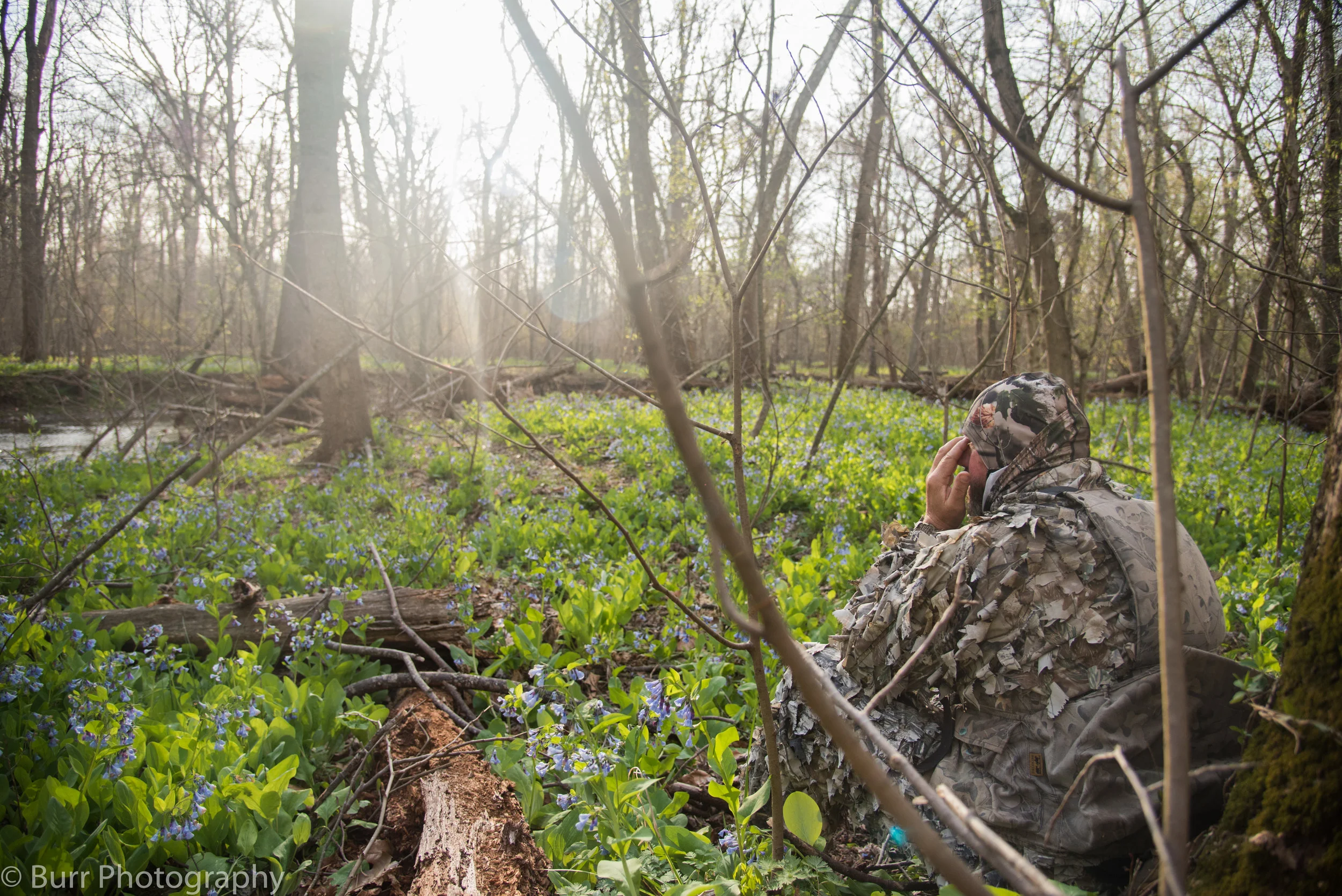Spring (1 of 8).jpg