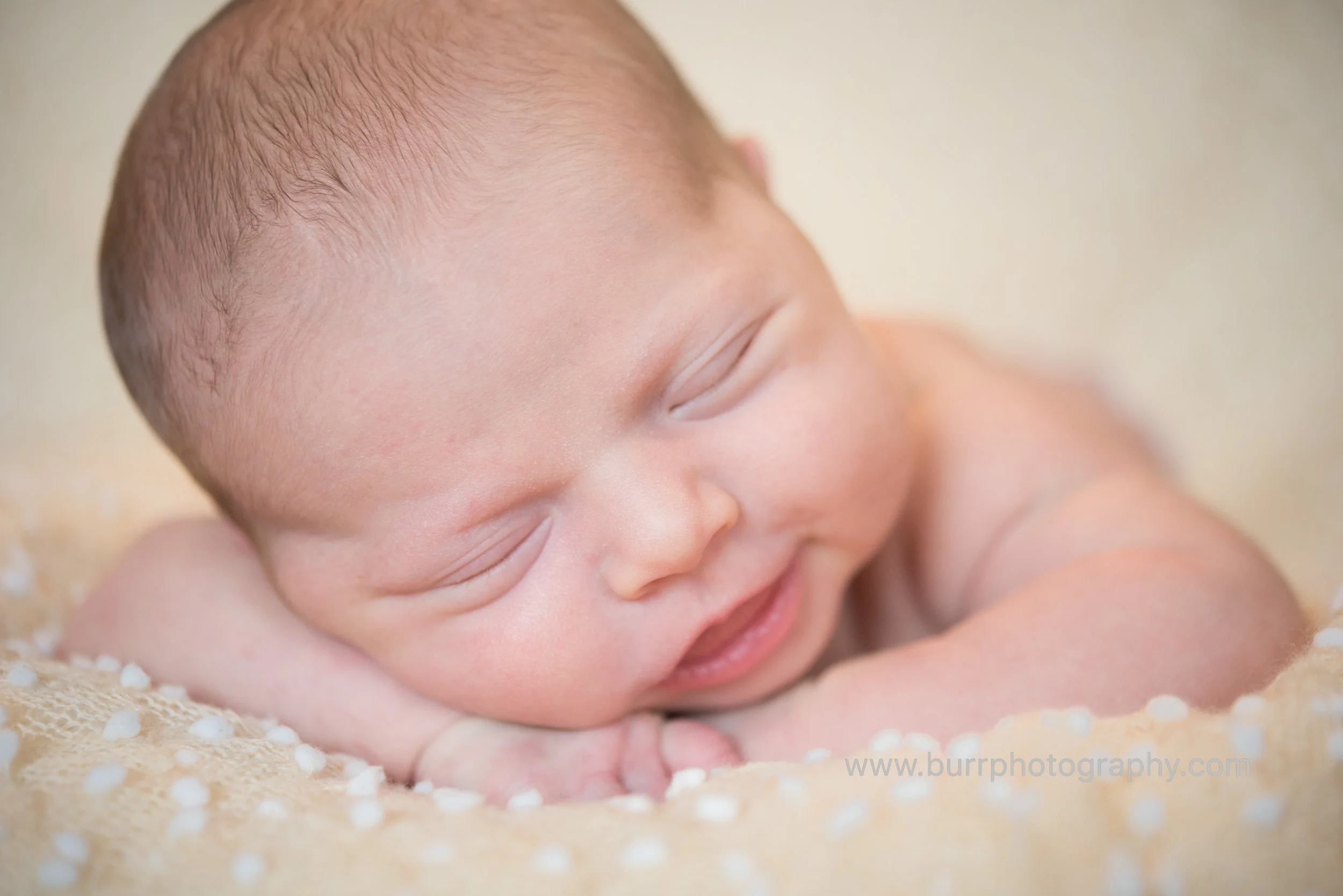 Amelia (1 of 1).jpg