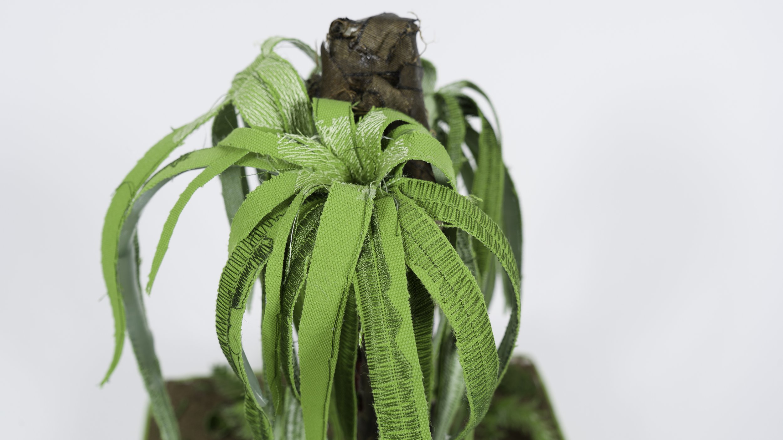 Sculpture photographed for RISD student Erin Brady (detail)