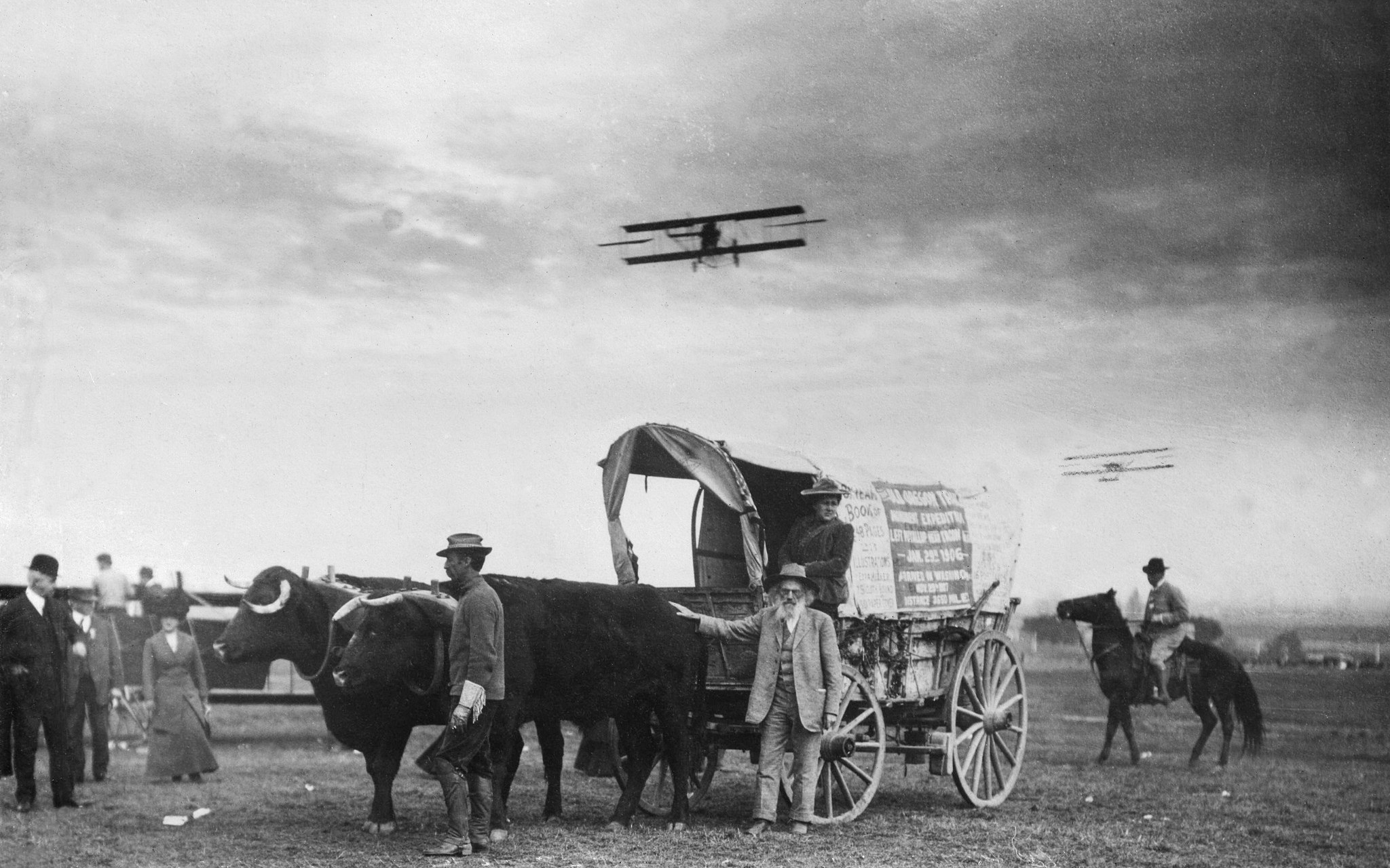 Oregon Trail pioneer Ezra Meeker traveled by oxcart from New York to witness the Air Meet. ( USC Libraries Special Collections)