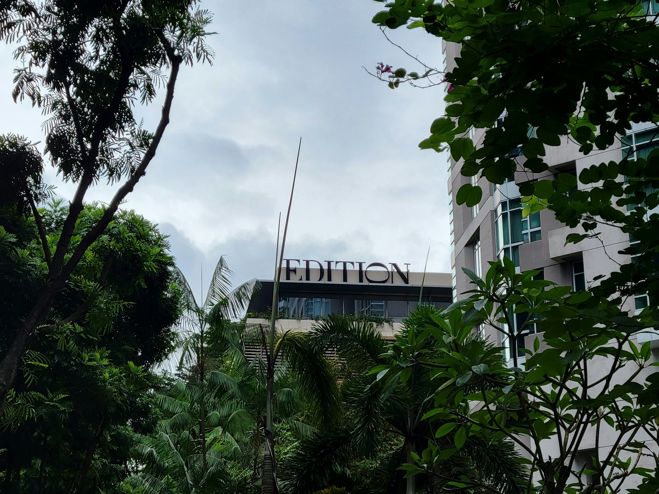 EDITION: The Brand That Hasn't Said Yes ...Yet