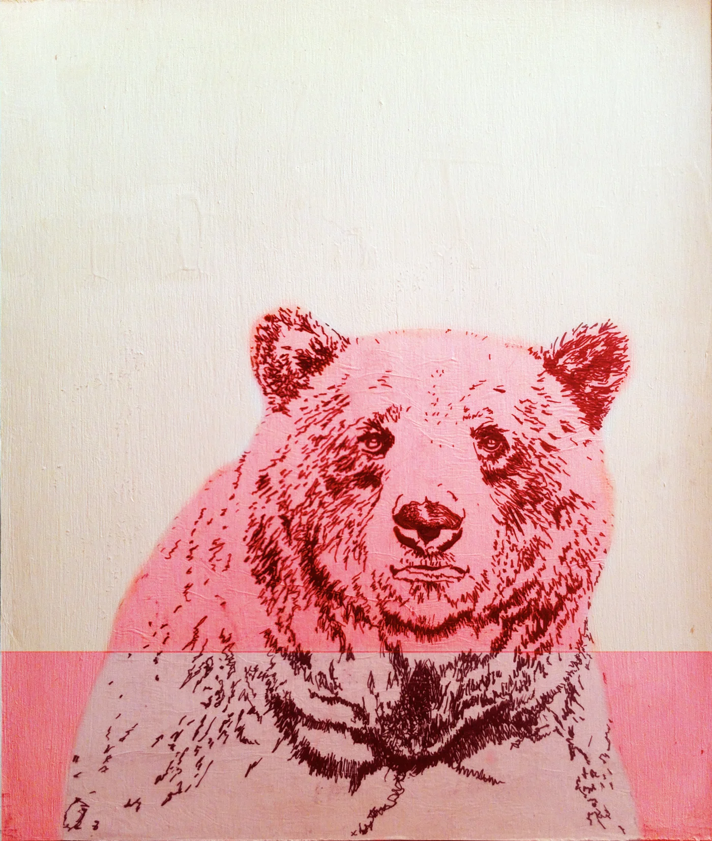 bear.jpg