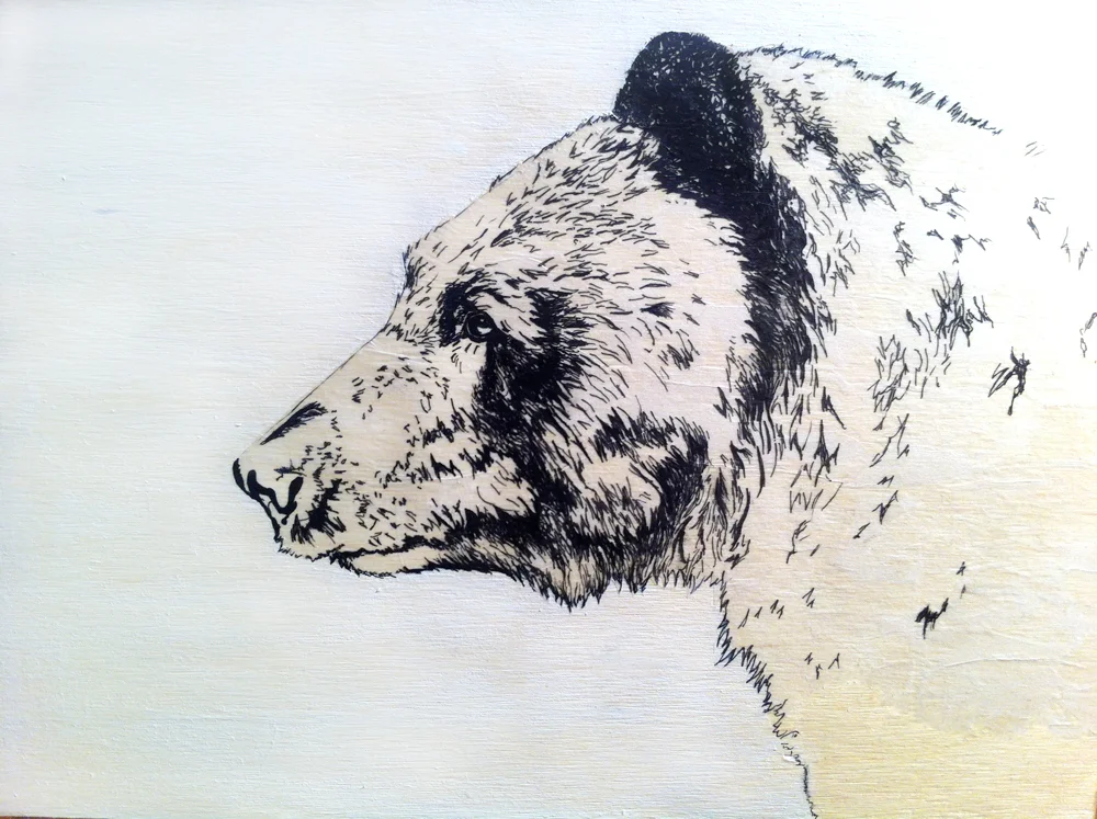 bear-2.jpg