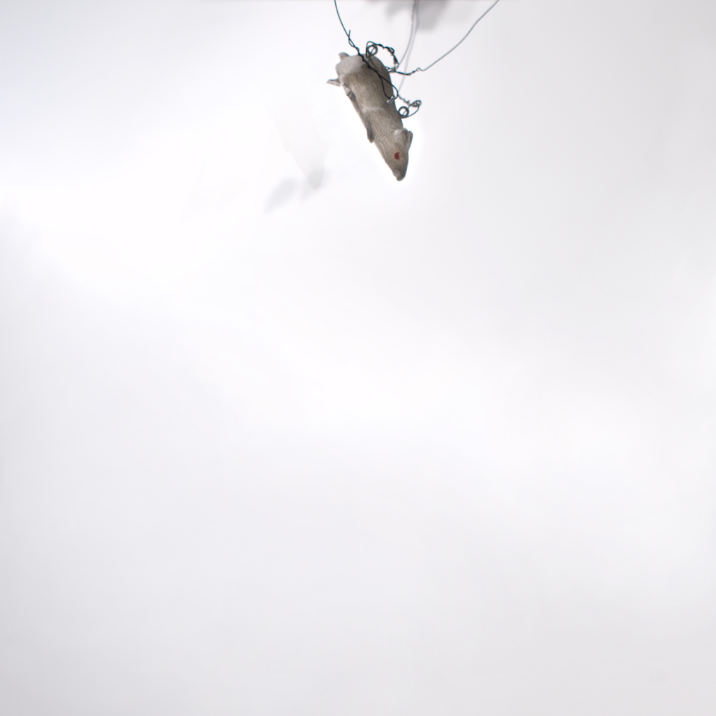 Mouse2.png