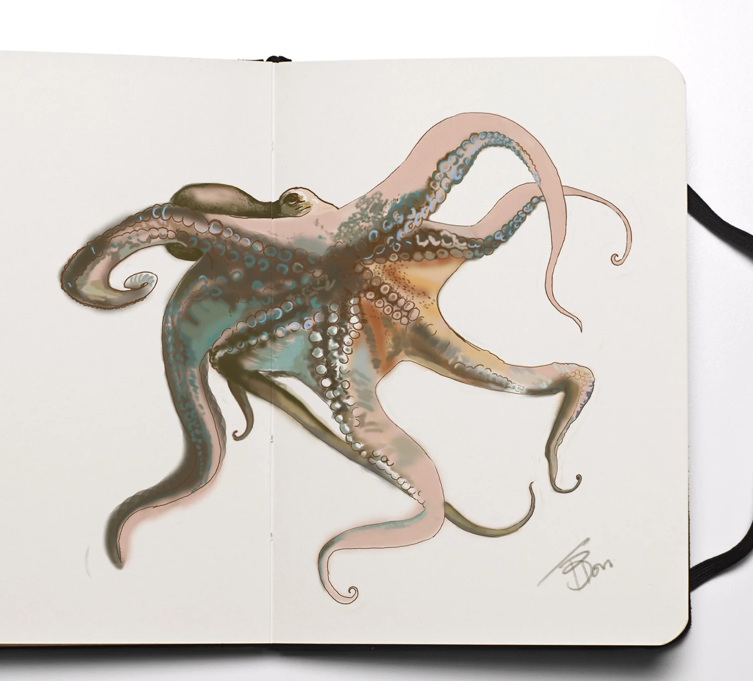 Octo-2.jpg