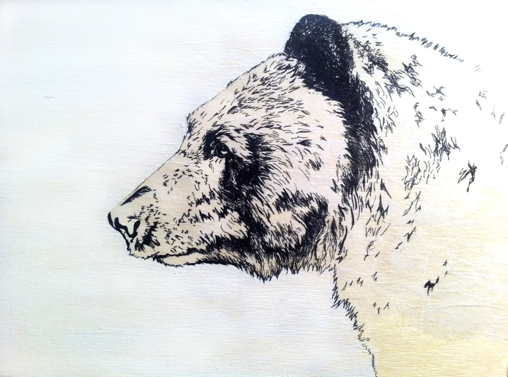 bear-2.jpg