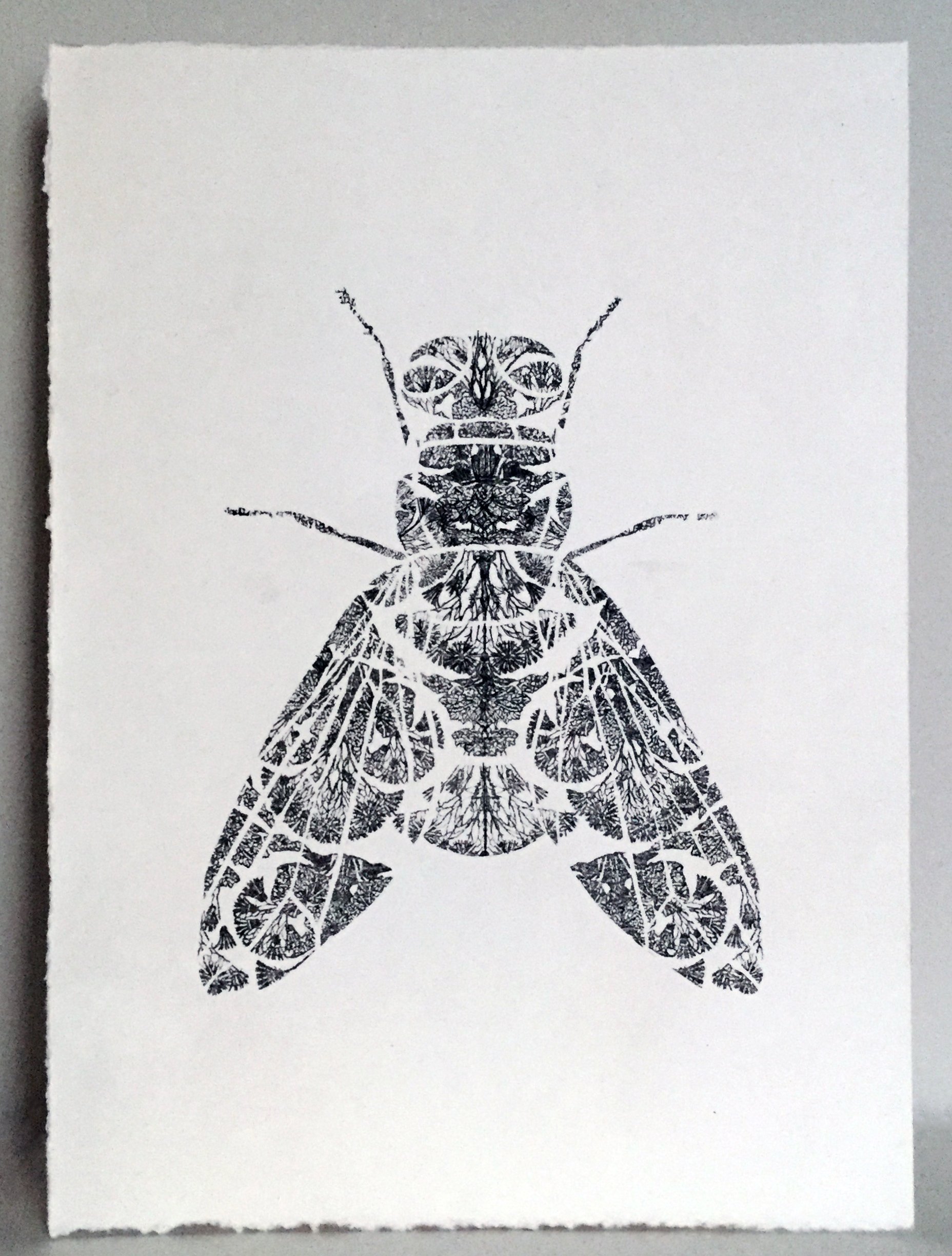 Fly Paper