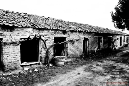 corrales.jpg