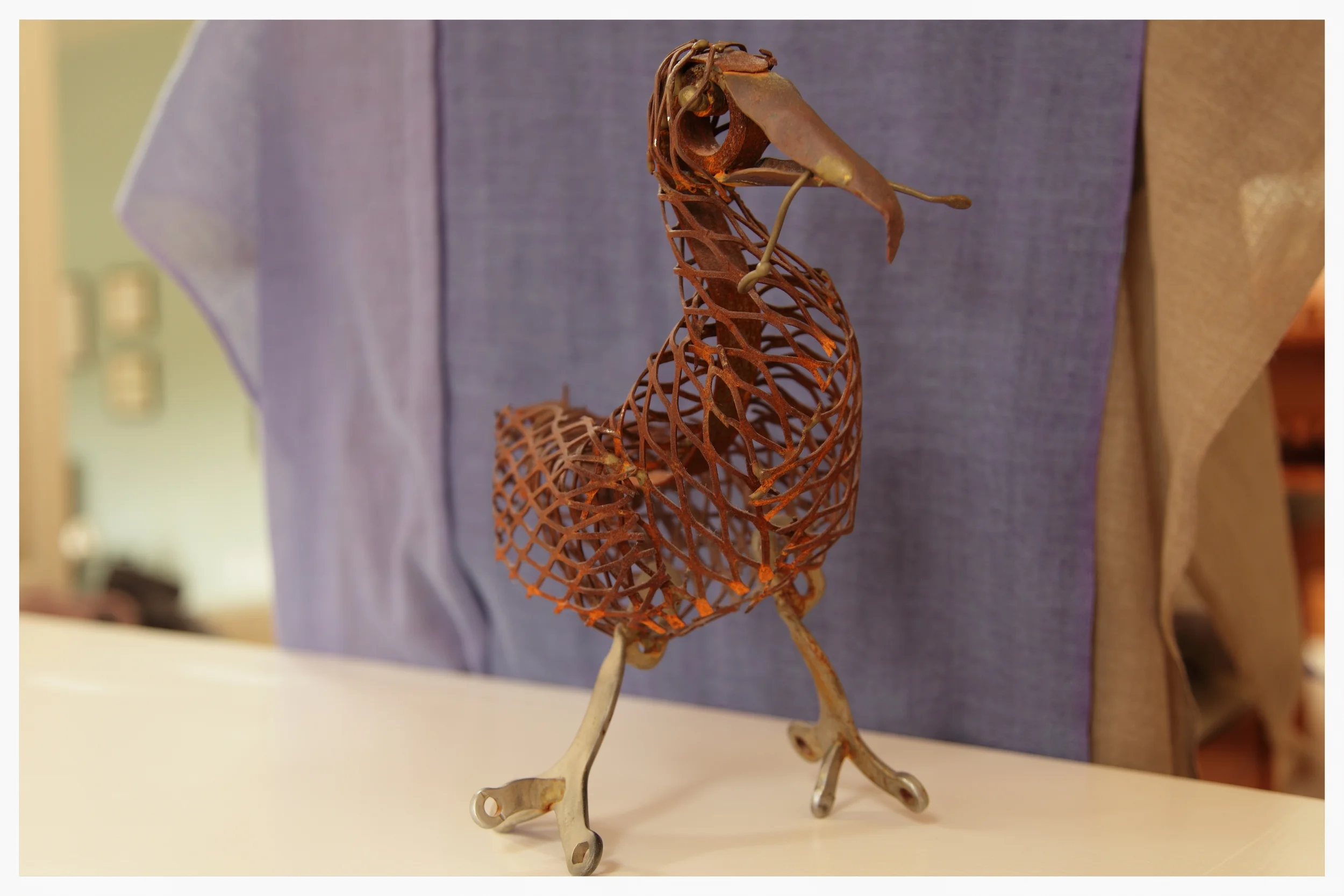 bird
