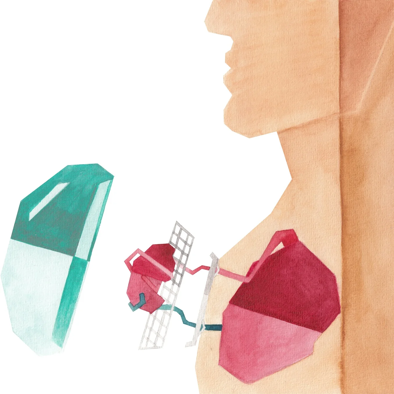 Connection with vascular system